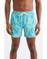 Chubbies - The Arboretum Classic Lined 5.5-Inch Swim Trunks - Lyst