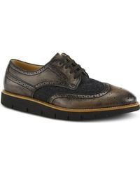 Spring Step - Beaufort Derby - Lyst