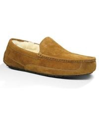 UGG - ugg(r) Ascot Slipper - Lyst