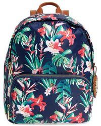 tommy bahama backpack