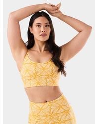 Tavi - Boost Bra - Lyst