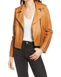 AllSaints Women's Fern Dip Dye Leather Biker Jacket - Brown