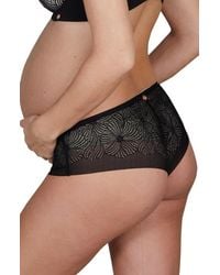 Cache Coeur - Dahlia Maternity Shorts - Lyst