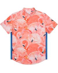 MAVRANS - Tailored Fit Flamingo Print Waterproof Short Sleeve Performance Button-up Shirt - Lyst