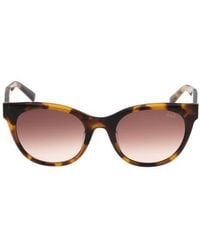 Abercrombie & Fitch - 52Mm Gradient Cat Eye Sunglasses - Lyst