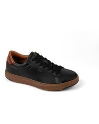 Anthony Veer - Paul Sneaker - Lyst
