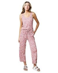 Softies - Ella - Lyst
