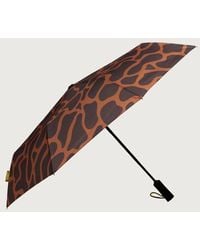 Original Duckhead - Compact Umbrella With Automatic Open-Close Function - Lyst