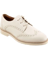 Softwalk - Willet Wingtip Derby - Lyst