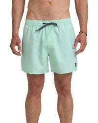Quiksilver - Everyday Volley 15-Inch Swim Trunks - Lyst