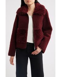Sam Edelman - Zip Front Faux Shearling Jacket - Lyst