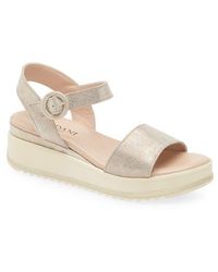 Cordani - Arielle Ankle Strap Platform Wedge Sandal - Lyst