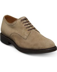 Allen Edmonds - Trevor Derby - Lyst