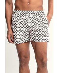 AUTO-REPLY™ - Sebastian Solid 4-Inch Nylon Swim Trunks - Lyst