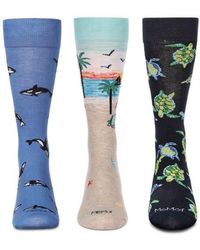 Memoi - Assorted 3-Pack Crew Socks - Lyst