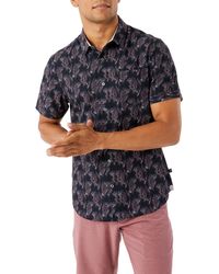7 diamonds shirts clearance