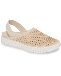 nordstrom ilse jacobsen tulip