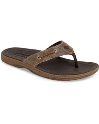 Diplomacy dictionary Ambient Sperry Top-Sider Sandals, slides and flip flops for Men | Online Sale up to  56% off | Lyst
