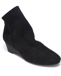 adam tucker ty bootie