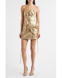 Acler - Hillsome Floral Appliqué Minidress - Lyst