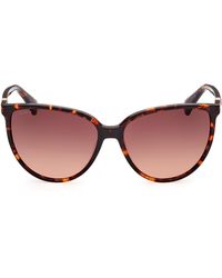 Max Mara - 58mm Gradient Butterfly Sunglasses - Lyst