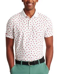 bonobos
