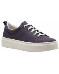 ABEO - Jumpstreet Bungee Sneaker - Lyst