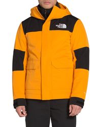 the north face cervas vest