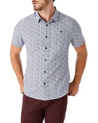 7 diamonds shirts clearance