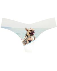 Commando - Print Thong - Lyst