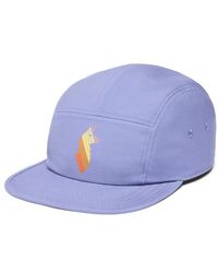 COTOPAXI - Llama Stripes 5-Panel Hat - Lyst
