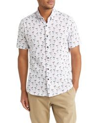 Stone Rose - Dry Touch® Performance Margarita Print Short Sleeve Button-up Shirt - Lyst