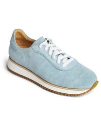 The Office Of Angela Scott - The Quinn Felted Wool Sneaker - Lyst