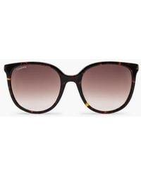 Cavalinho - Sunglasses Cosmopolis - Lyst