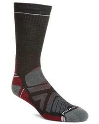 Smartwool - Hike Lite Cushioned Crew Socks - Lyst