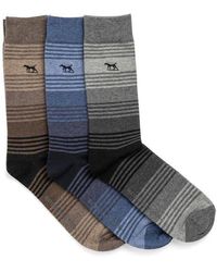 Rodd & Gunn - Assorted 3-Pack Stratford Stripes Cotton Blend Dress Socks - Lyst