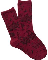 Natori - Cascading Floral Fashion Crew Socks - Lyst