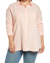 Caslon Caslon(r) Long Sleeve Cotton Button-up Shirt - Pink