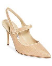 Manolo Blahnik - Camparisli Pointed Toe Mary Jane Slingback Pump - Lyst