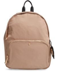 tommy bahama backpack