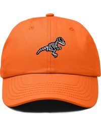 Alix - Fossil Embroidered Outdoor Hat - Lyst