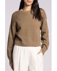 Thread & Supply - Jasmine Cotton Mesh Sweater - Lyst