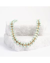 Starfish Project - Seeds Of Hope Necklace - Lyst