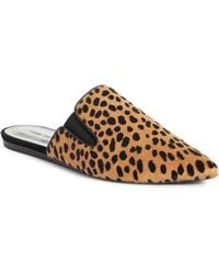 jenni kayne mules sale