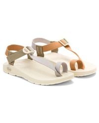 Chaco - Bodhi Toe Loop Sandal - Lyst