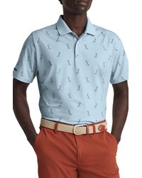 bonobos