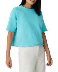 eileen fisher tee shirt sale