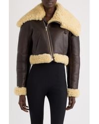 Jacquemus - The Aviatore Asymmetric Aviator Jacket - Lyst