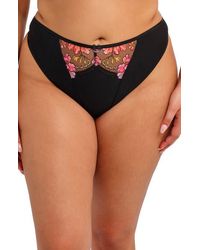 Elomi - Teagan Thong - Lyst