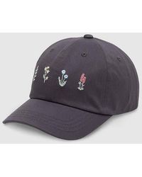 Tentree - Spring Flora Peak Hat - Lyst